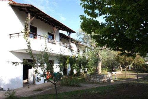 Olive Studios And Apartments Skala Potamia Exterior foto